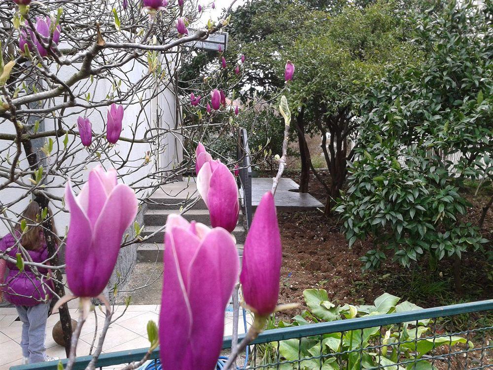 Apartments Herceg Novi Ngoại thất bức ảnh