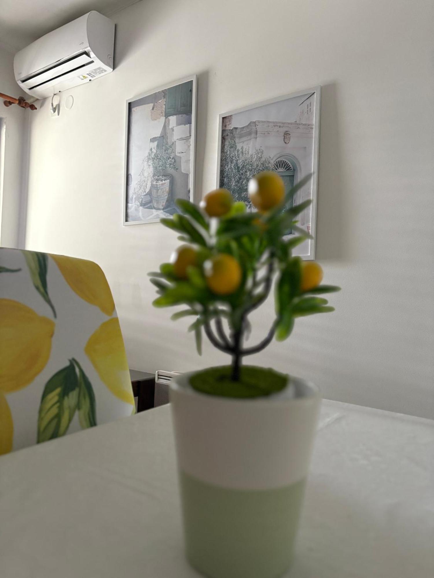 Apartments Herceg Novi Phòng bức ảnh
