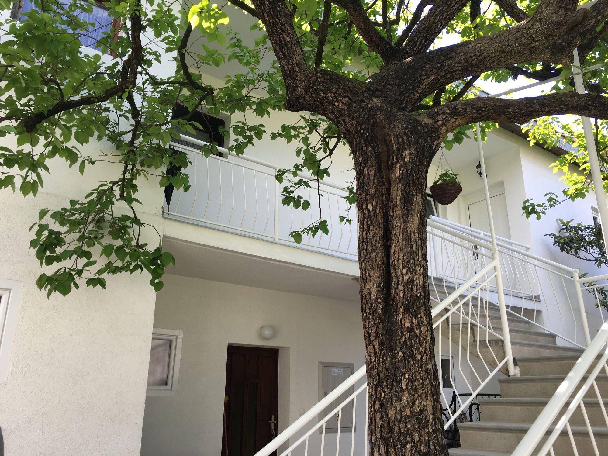 Apartments Herceg Novi Ngoại thất bức ảnh